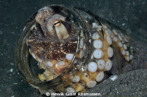 Octopus in a jar :) by Henrik Gram Rasmussen 